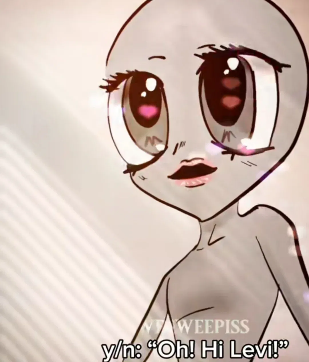 Y/N