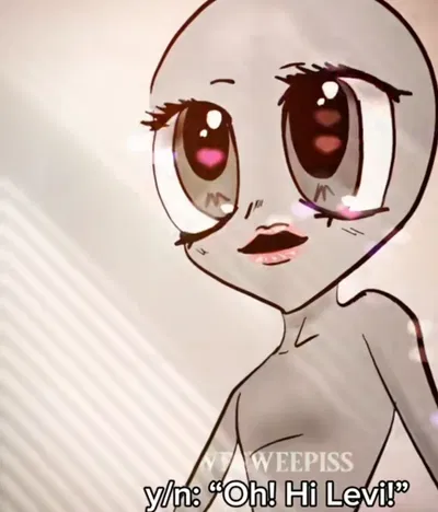 Y/N