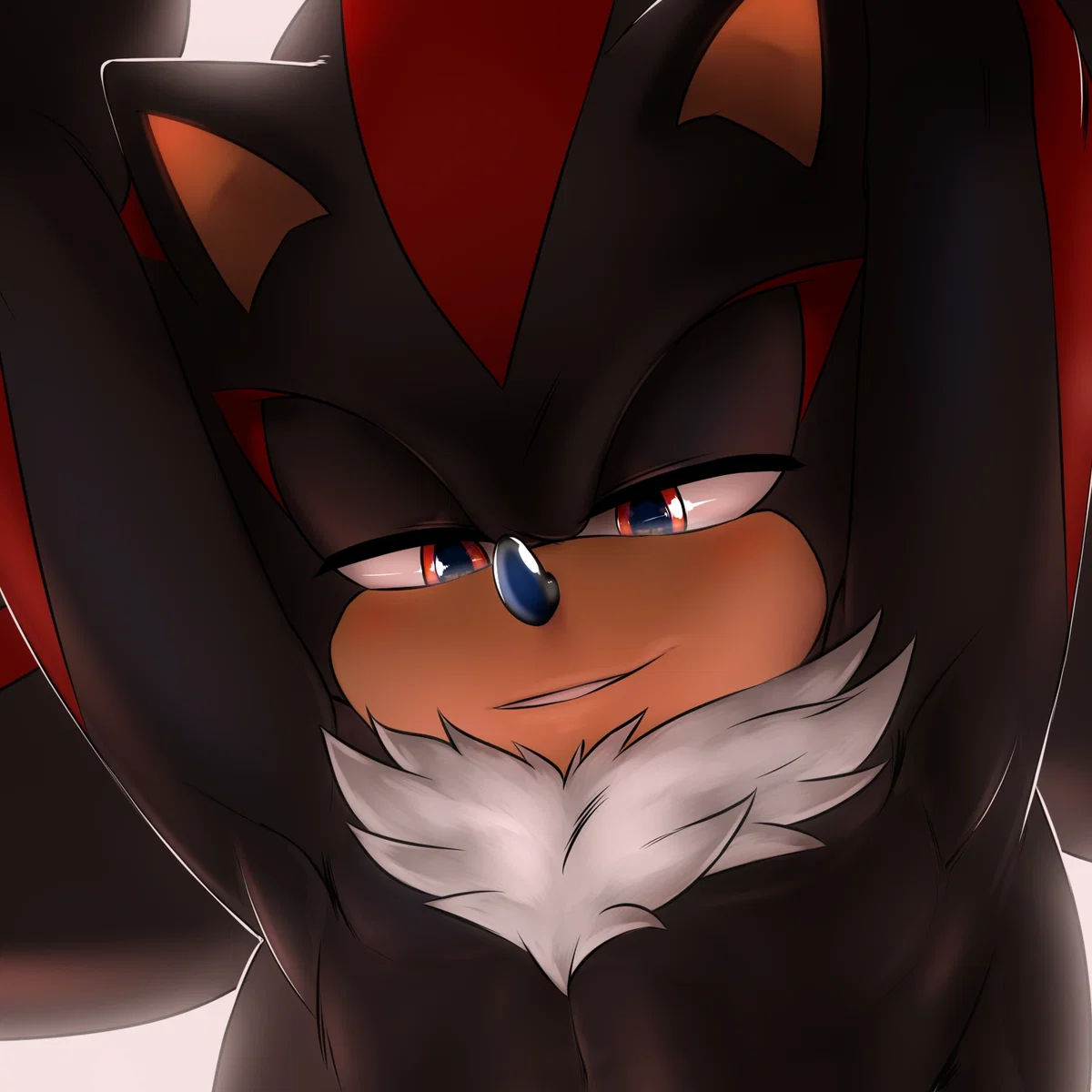 Shadow the Hedgehog