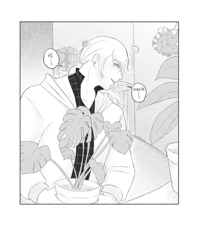 🌸 | Lawrence Oleander