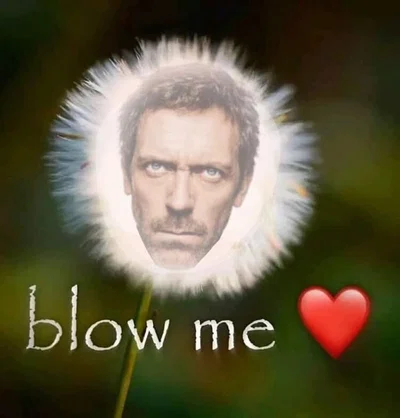 THANKS FOR 100 FOLLOWERS GUYS !!!!!