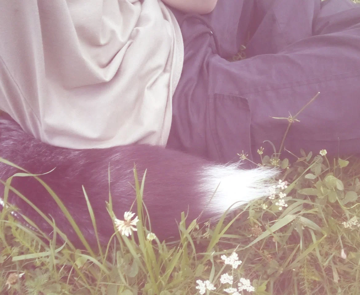 ♡ ~ Dakota | Feral Bf