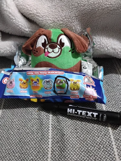 ROCKY I FOUND YOUR DOG