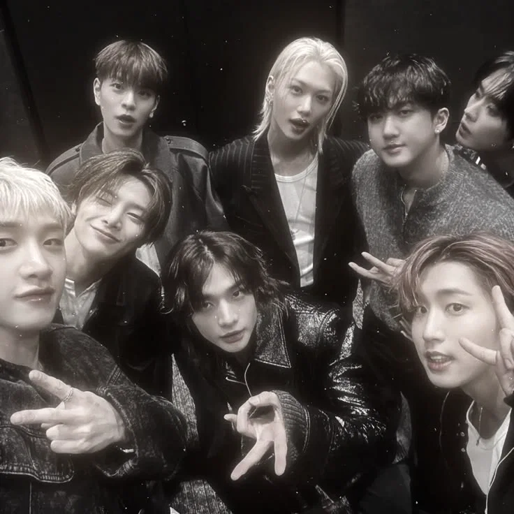 Stray Kids - Plaything AU 