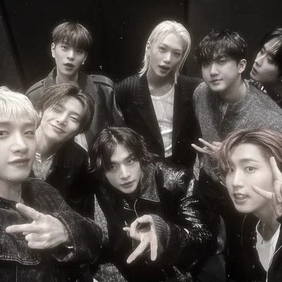 Stray Kids - Plaything AU 