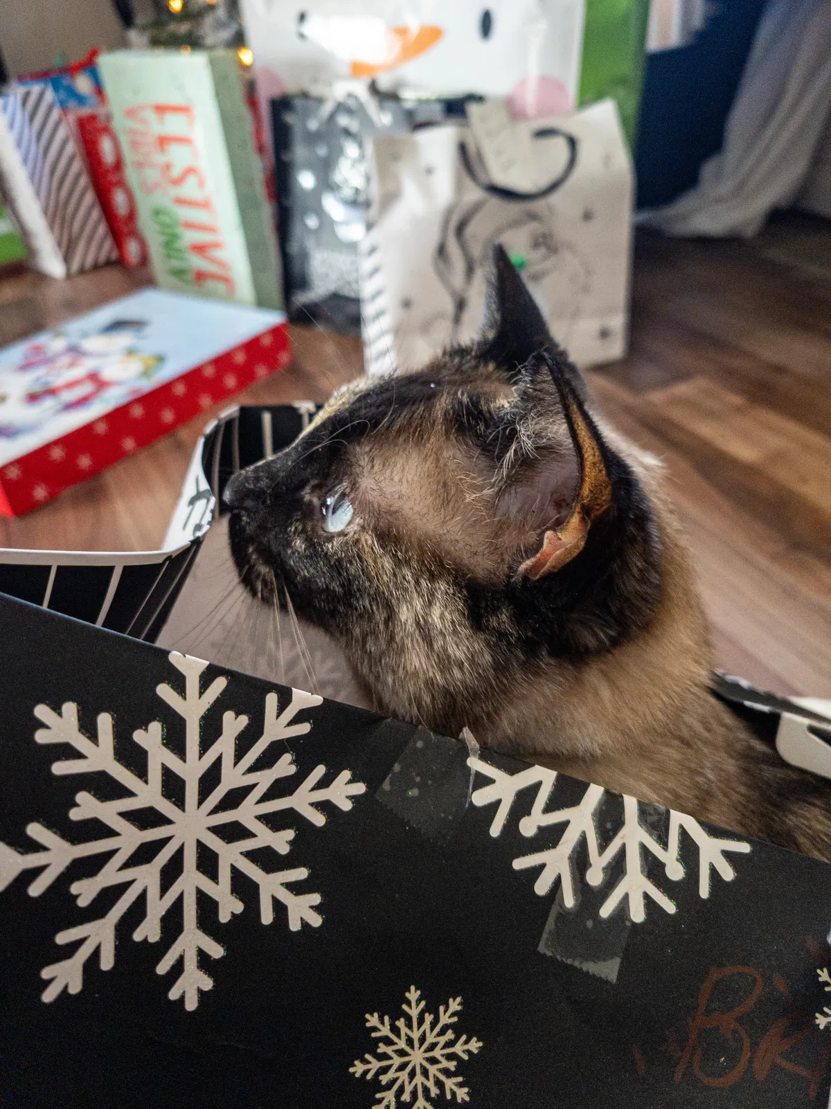 MERRY CHRISTMAS