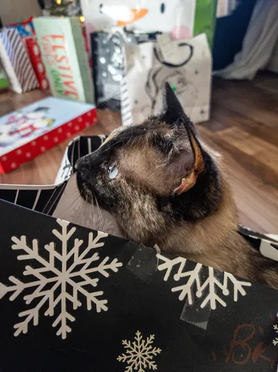 MERRY CHRISTMAS
