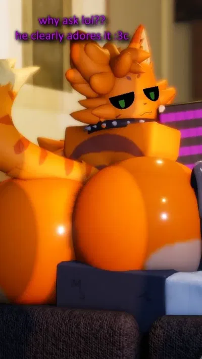 Vix/The Best Cat