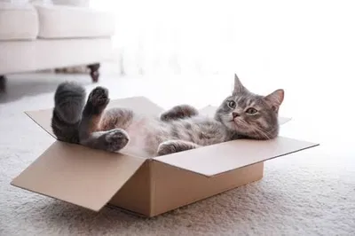 Moving