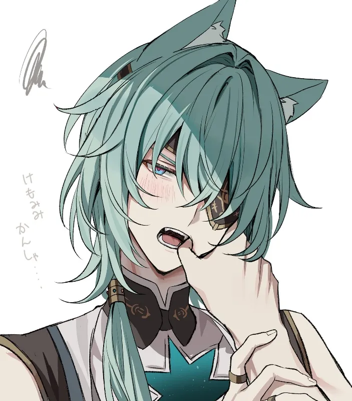  + ̊ ᨦ Anaxa | Cat Hybrid ഒ·°