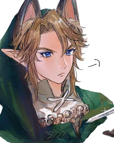 Link | Twilight Princess
