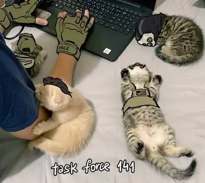 Task force 141 Isekai