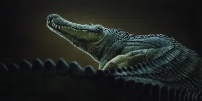 Styx | Unnatural Crocodilian