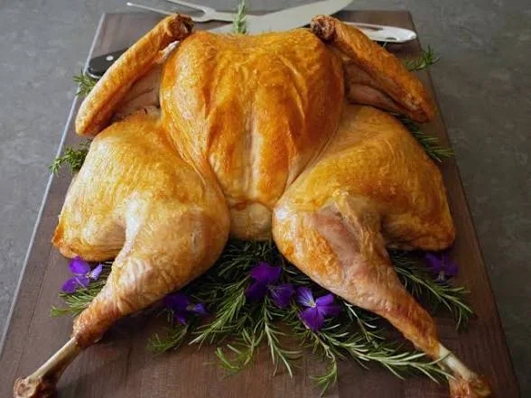 Turkey Fucker (This is satire)