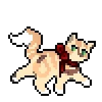 Fly || Warrior Cats oc