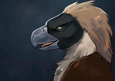 Pirate Eagle - Virtual Dom