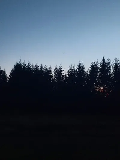 The North Star, right?