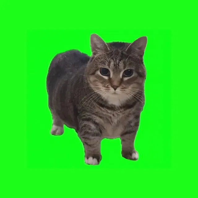 ANNOUNCEMENT