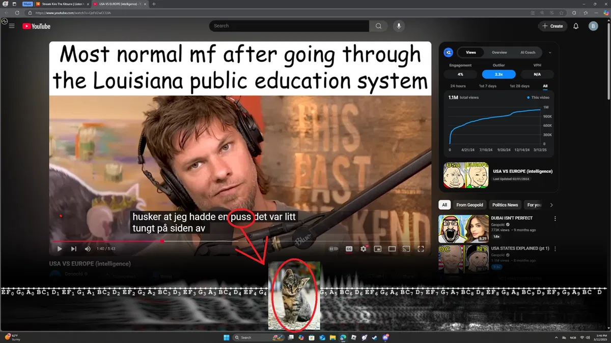 Requests, chat???