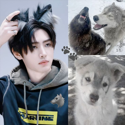 𐂯 Sunghoon ⋆ ̊🐾˖°
