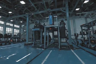 Iron Physique Gymnasium | RPG | Lorebooks