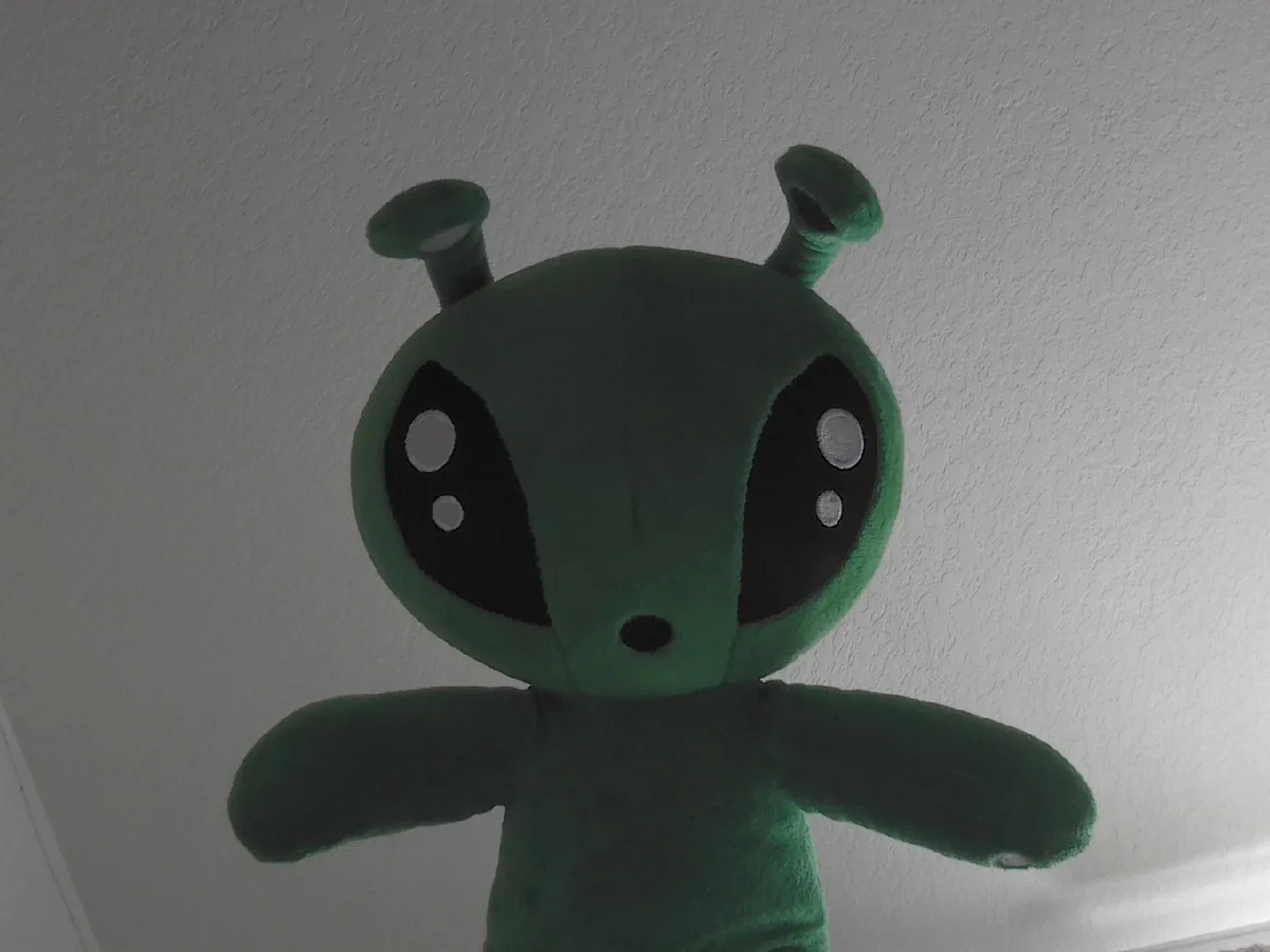 GIVE ME BOT IDEASSS