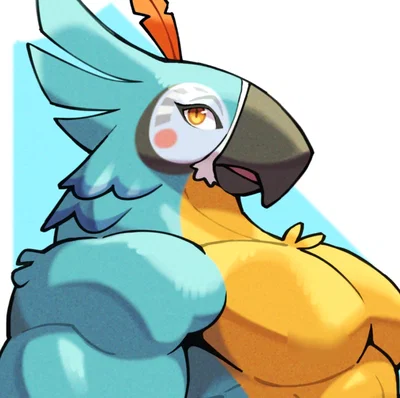 Kass - [The Legend of Zelda: Breath of the Wild]