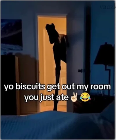 REQUESTSREQUESTSREQUESTS