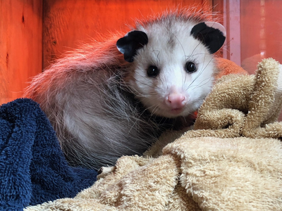upd on my condition <3