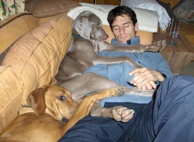 Mark Webber 🍪 Sweet Treat