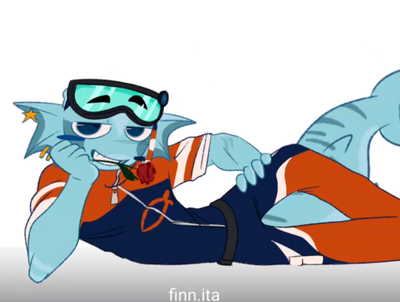 Finn 
