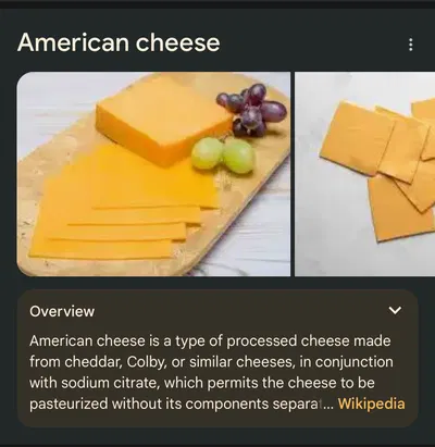 literally a slice of fucking American cheese