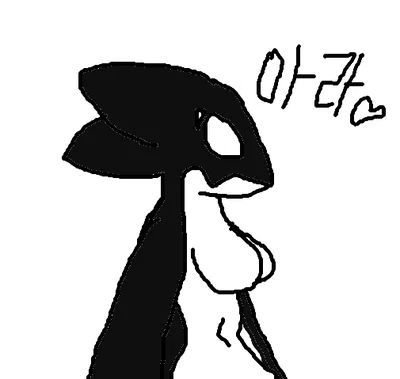 Ara the Orca