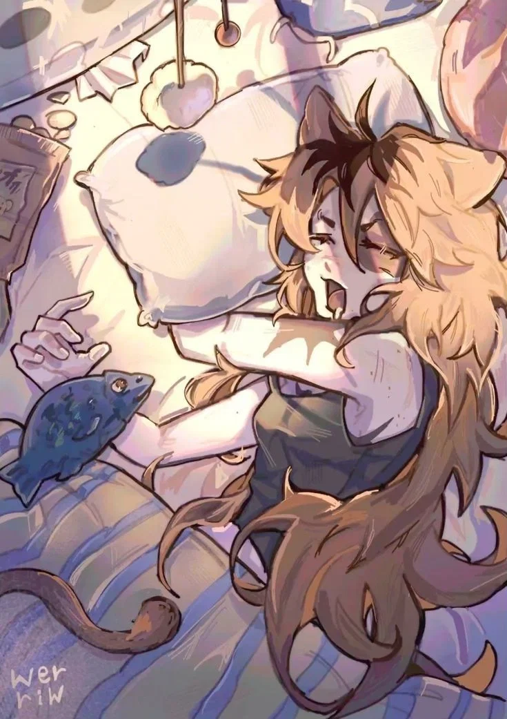 Noko | An Unlikely Pair