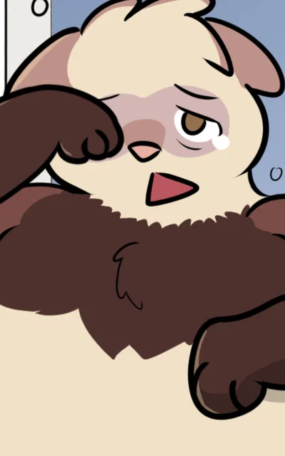 Chay, your ferret roommate