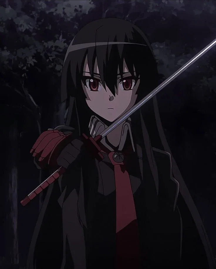 Night Raid: Akame (Akame ga Kill)