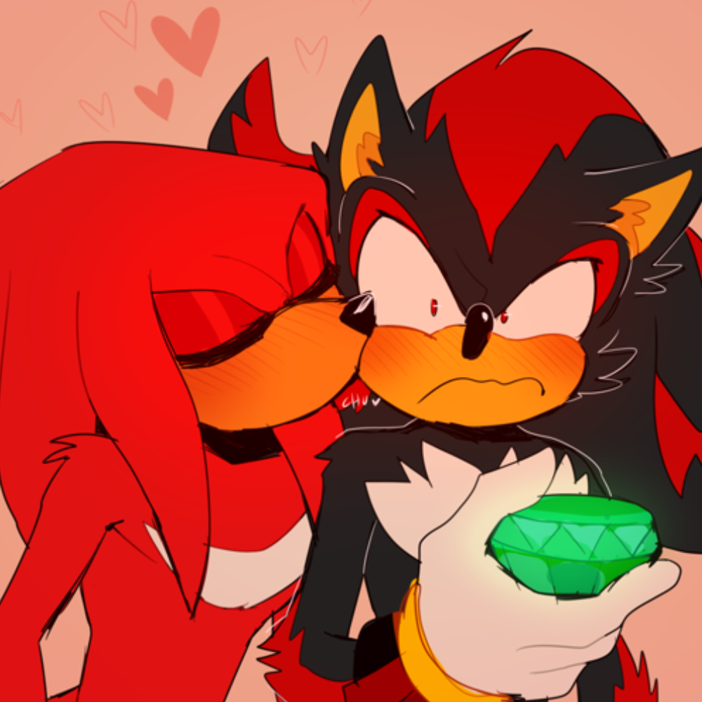  ̊+۶ৎ ̇⋆ Shadow and Knuckles