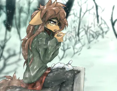 Apogee in the snow