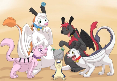 The cat dragon family