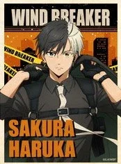 Haruka Sakura