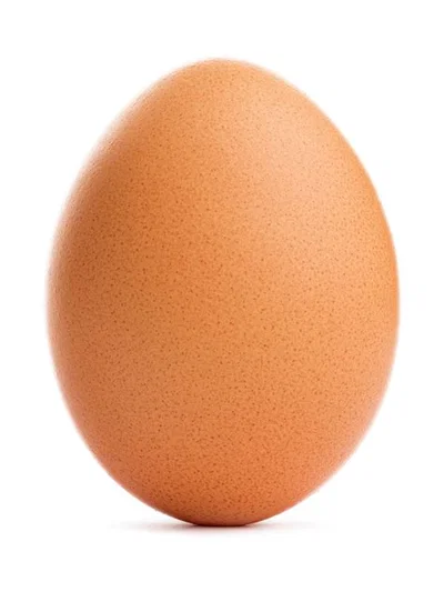 Egg-stravaganza