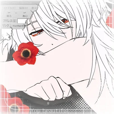 ✦─── · Osamu Hikawa . 