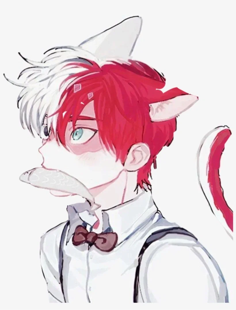 Juno | Your Pet Cat Boy