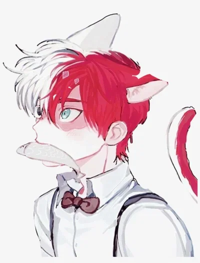 Juno | Your Pet Cat Boy