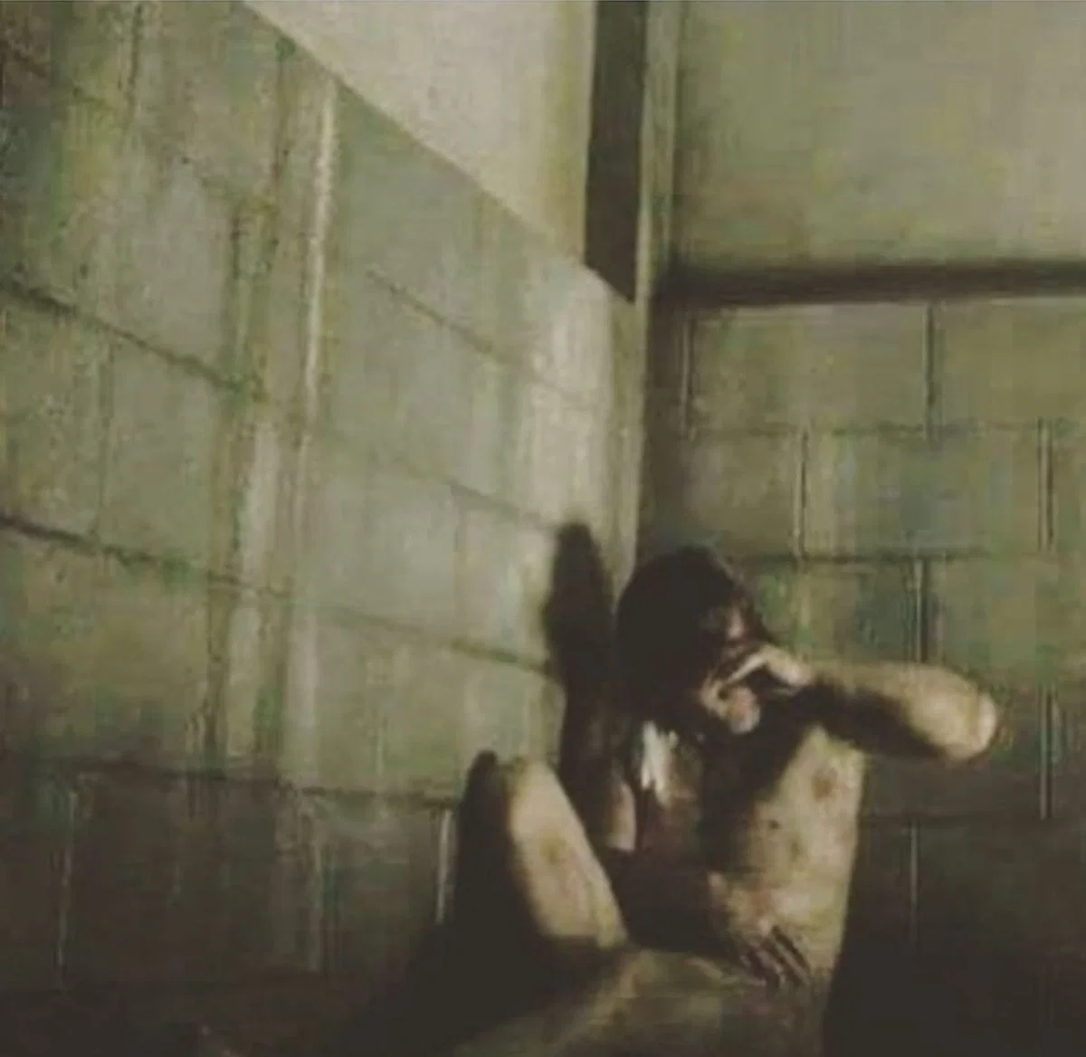 Daryl Dixon TWD  “Captured by the Saviors”