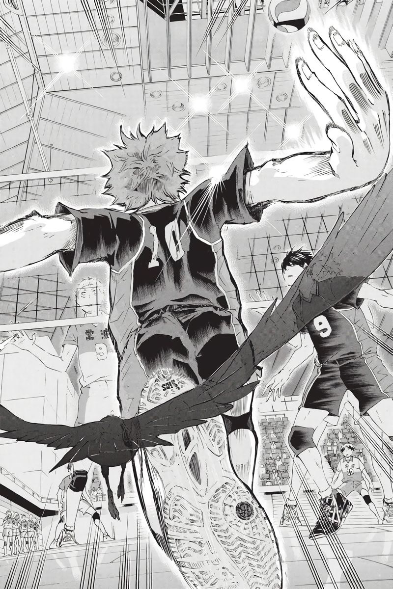 Hinata Shoyo | Befriend