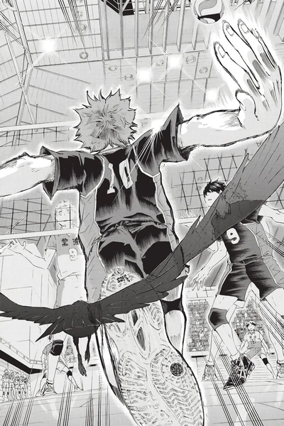 Hinata Shoyo | Befriend
