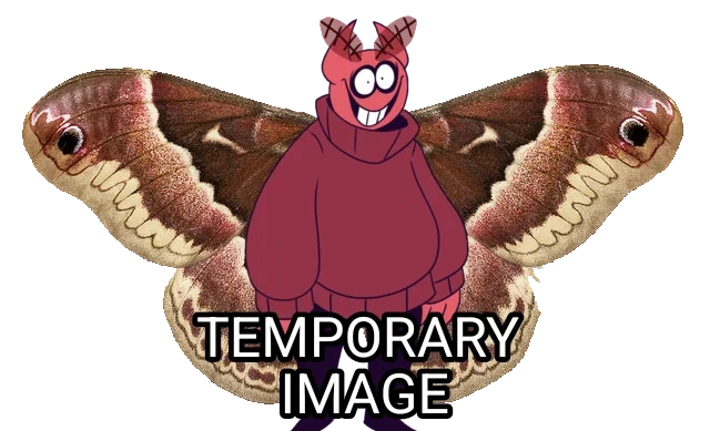 Moth Bob Velseb