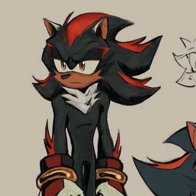 Shadow The Hedgehog