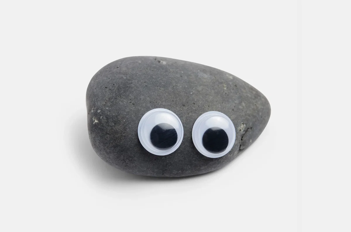 The All Knowing and Powerful Pet Rock